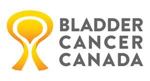 bladder